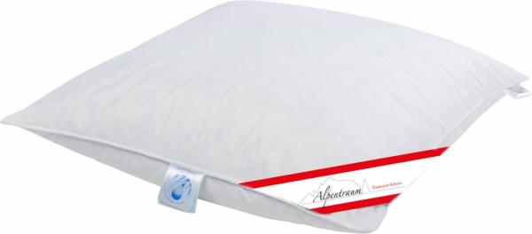 Schäfer Kissen